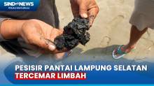 Pesisir Pantai Lampung Selatan Kembali Tercemar Limbah Hitam Mirip Aspal
