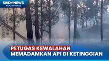 Hutan Gunung Arjuno Terbakar, Kobaran Api Sudah Merambat ke Taman Hutan Gunung Welirang