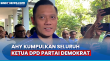 Keluar dari Koalisi Perubahan, AHY Kumpulkan Seluruh Ketua DPD Partai Demokrat