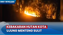 Hutan Kota Ujung Menteng Terbakar, Damkar Kesulitan Padamkan Api