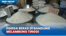 Harga Beras di Bandung Terus Melambung, Pedagang dan Pembeli Menjerit