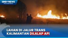 Lahan di Jalur Trans Kalimantan Terbakar, Petugas Berjibaku Padamkan Api hingga Malam