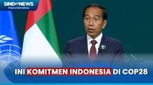 Presiden Jokowi Tegaskan Komitmen Indonesia Soal Emisi Karbon dan Deforestasi di COP28
