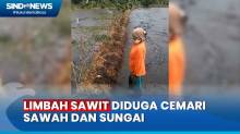 Diduga Tercemar Limbah Pabrik Sawit, Sungai dan Sawah di Banten Berwarna Hitam