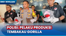 Bongkar Home Industry Tembakau Gorilla, Polisi: Pelaku Produksi Sendiri dan Dijual di Media Sosial