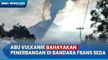 Gunung Lewotobi Laki-Laki Erupsi, Bandara Frans Seda Ditutup Usai Terdampak Abu Vulkanik