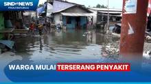 Terdampak Banjir Rob Berhari-hari, Warga Muara Angke Mulai Terserang Penyakit