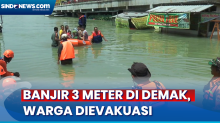 Warga Dievakuasi Usai Banjir Demak Meluas, Ketinggian Air Capai 3 Meter