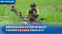 Sensasi Ekstrem Main ATV ke Hutan Wonco hingga Padang Savana di Pulau Buton