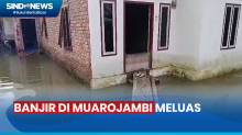 Diterjang Banjir, 3 Desa di Muarojambi Terancam Terisolir