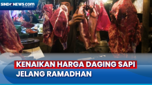 Permintaan Meningkat Jelang Ramadhan, Harga Daging Sapi Melambung Tinggi