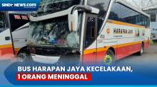 Bus Harapan Jaya Terlibat Kecelakaan, 1 Orang Meninggal Dunia