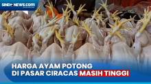 Awal Ramadhan, Harga Ayam Potong di Pasar Ciracas Jaktim Tembus Rp55.000 per Ekor
