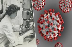 Tidak Lulus Sekolah, Inilah Penemu Pertama Virus Corona 1964