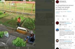 Viral! Stadion Markas PSM Makassar Beralih Fungsi Jadi Kebun Sayur