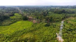PLN Genjot Pembangunan Saluran Transmisi 150 kV di Kalimantan Barat