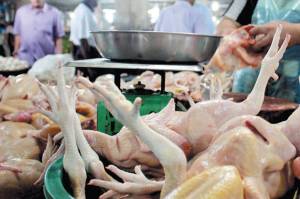 Daging Ayam dan Telur Biang Kerok Inflasi Juni 2020