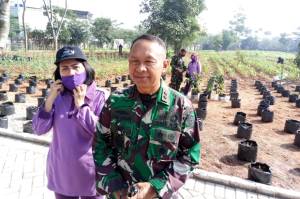 TNI Siap Kelola 165.000 Hektare Lahan Perbatasan untuk Antisipasi Krisis Pangan