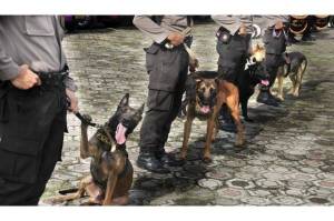 Selidiki Kematian Editor Metro TV, Polisi Terjunkan Anjing Pelacak