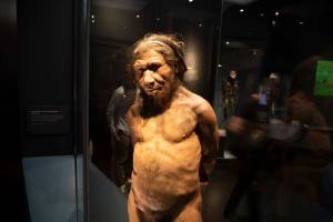 Hasil Riset Klaim Manusia Lebih Dekat dengan Gen Neanderthal
