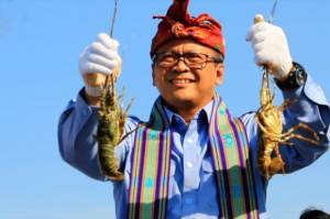 Diserang DPR Buka Ekspor Benih Lobster, Edhy Prabowo Ngeles Ingin Bantu Nelayan