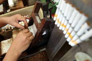 Rokok Ilegal Masih Menjamur Bikin Penerimaan Cukai Tidak Bertambah