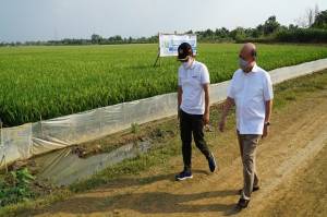 Dengan Program Ini Pupuk Indonesia Grup Bantu Lepaskan Petani dari Pengijon