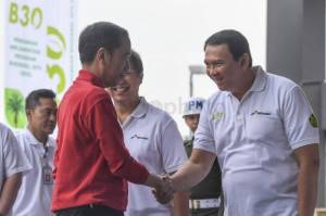 Terungkap! Super Holding BUMN, Ahok Ingin Jokowi Pimpin Langsung Pertamina