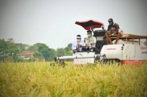 Hari Pangan Sedunia, Peran Petani Dalam Pemenuhan Pangan Kian Meningkat