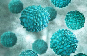 Hindari Infeksi Usus Akut yang Disebabkan Norovirus