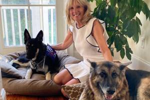 Anjing Peliharaan Joe dan Jill Biden Akan Masuk Gedung Putih