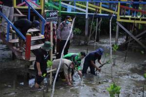 Gojek dan Wagub Sulsel Tanam 1.000 Bibit Mangrove di Lantebung