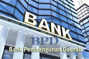 Sebanyak 11 Bank Daerah Antre Dana Titipan Pemerintah