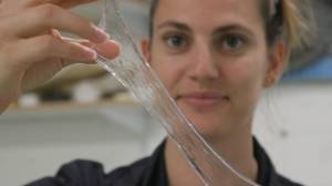 Inovasi Plastik dari Rumput Laut dan Bisa Dimakan, Mau Coba?