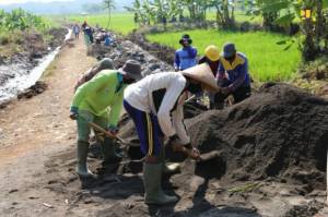 Lewat Program Padat Karya, PUPR Berdayakan 631.723 Tenaga Kerja di Desa