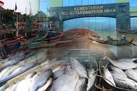 Tutup 2020, Perikanan Tangkap KKP Dulang PNBP Rp600 Miliar