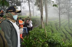Banjir Bandang Gunung Mas, Ade Yasin Respons Isu Pembalakan Liar di Kawasan Puncak Bogor