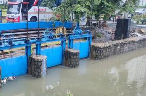 Tangerang Diguyur Hujan Deras, Debit Air di Situ Besar Sentuh Angka 182 Cm