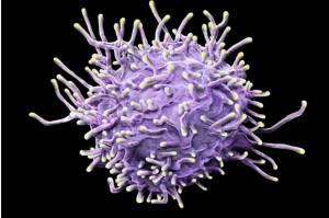 Kabar Baik, Ilmuwan: Sel T Bisa Selamatkan Kita dari Mutasi Virus Corona