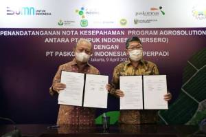 Perluas Program Agro Solution, Pupuk Indonesia Gandeng Perpadi dan Paskomnas
