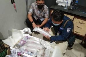 Penyelundupan 22.230 Benih Lobster ke Singapura Digagalkan, BKIPM: Bukti Kita Tidak Main-main
