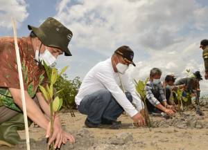 Pemulihan Ekosistem Mangrove Butuh Komitmen Semua Pihak