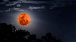 Ini Link untuk Nobar Gerhana Bulan Total Malam Nanti