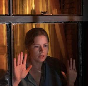 Mengenal Agorafobia yang Ada dalam Film Woman in The Window