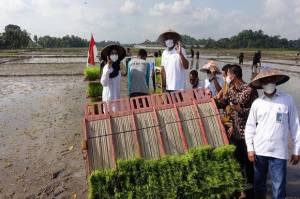 Lewat Program Agro Solution Petani di Banyuwangi Bakal Kebanjiran Hasil Panen