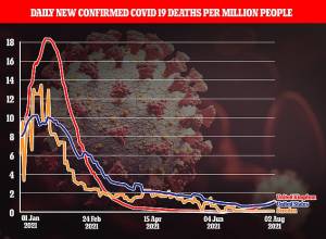 Norovirus Akan Jadi Pandemi Baru seperti COVID-19 di Inggris Bulan Depan