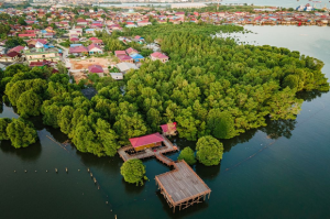 Berdayakan Mangrove untuk Ekonomi Warga, Pupuk Kaltim Raih Penghargaan AREA 2021