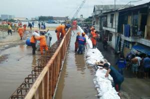 Muara Baru Jakarta Utara Terancam Tenggelam hingga 4,6 Meter jika Banjir Rob Tidak Ditangani