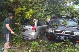 Hujan Angin, 4 Mobil Rusak Tertimpa Pohon Tumbang di Bogor
