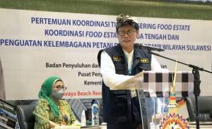 SDM Pertanian Penentu Sukses Pengembangan Food Estate